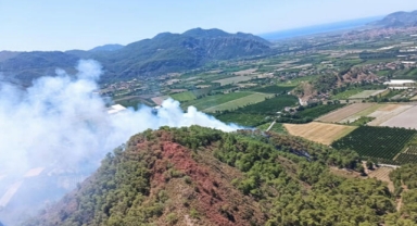 Muğla'da orman yangını