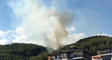 Muğla'da orman yangını çıktı