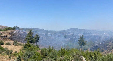 Muğla'daki orman yangını kontrol altına alındı