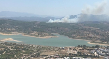 Muğla'nın orman yangını çıktı