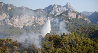 Orman yangınları atmosferdeki karbondioksit emisyonunu artırıyor