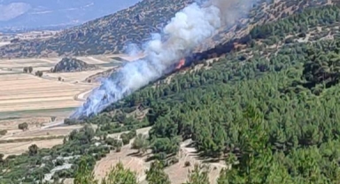 Ormanlık yangını panik yarattı