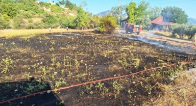 Otluk yangını panik yarattı