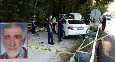 Otomobil,mola veren ailenin arasına daldı