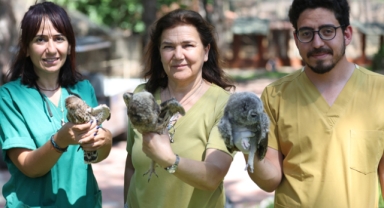 Parkta 3 özel misafir