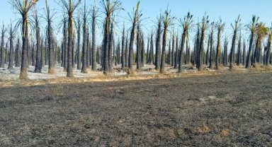 Peyzaj firmasında yangın