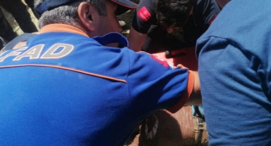 Sondaj kuyusuna düştü