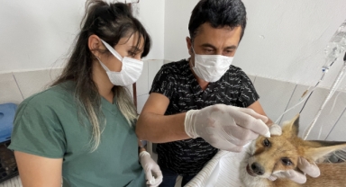 Sulama havuzuna düştü