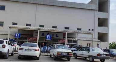 Tarlada mısır sularken öldürüldü