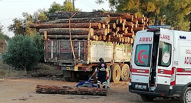 Üzerine tomruk düştü