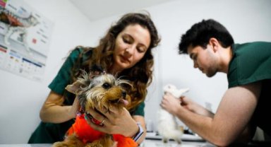 Öldürücü parazit  vakalarında artış