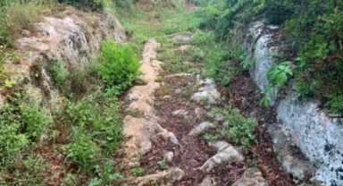 ‘Yakın takipçisi olacağız’