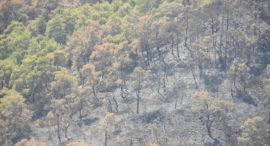 Yanan alanlar havadan görüntülendi