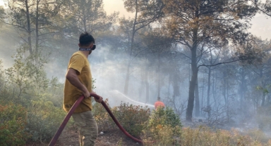 Yangın çıkarma gerekçesiyle bir haftada 7 şüpheliye gözaltı 