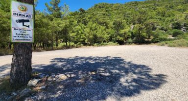 Yasağa rağmen ormanda ateş yaktı