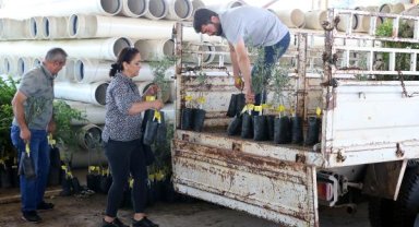 Büyükşehir’den ceviz ve zeytin fidanı hibe