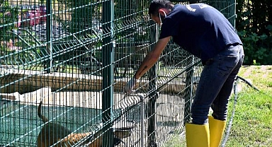 'Yıkamak değil serinletme amacıyla yapıyoruz'