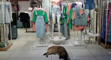 Yürek ısıtan görüntü