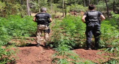 Zehir tacirleri drona yakalandı