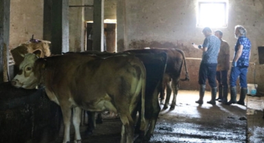 Zonguldak'ta 136 köy karantinada