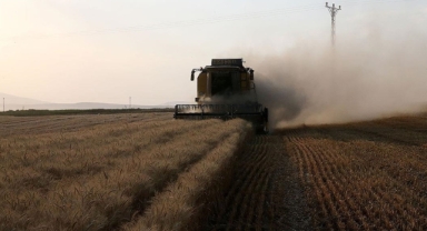 163 milyon liralık tarımsal destekleme ödemesi yapılacak