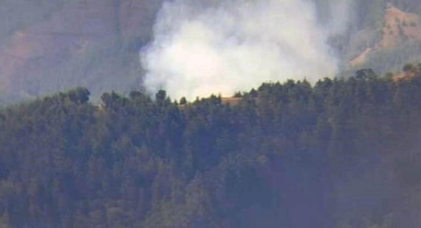 Adana'da orman yangını