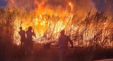 Ağustos'un ilk 9 gününde 175 hektar kül oldu