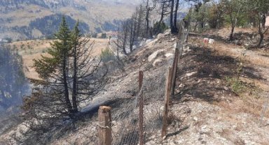 Alanya'da çıkan orman yangını söndürüldü