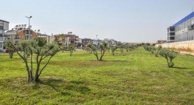 Altınova'da yeşil vadi projesi