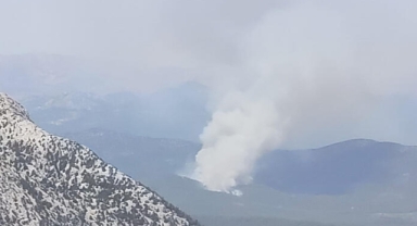Antalya'da orman yangını