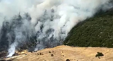 Antalya'da orman yangını