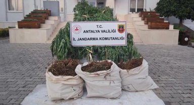 Antalya'da uyuşturucu operasyonu