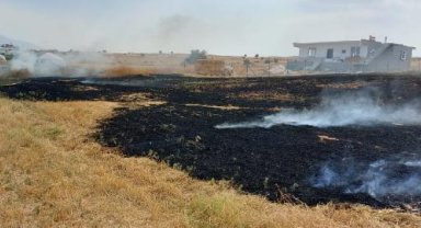 Arazide anız yangını 