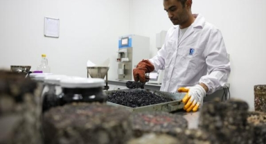 ASAT kamu zararının önüne geçti!