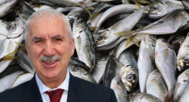 'Aşırı sıcaklar balıkların göçünü etkiliyor'