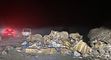 Ayıların yemek savaşı