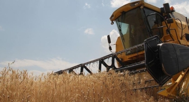 Bakan Yumaklı: TMO bu yıl ürün alım rekoru kırdı