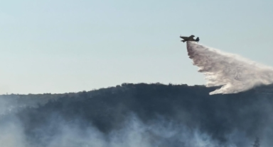 Balıkesir'de orman yangını