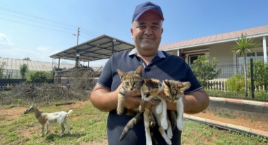 Bulduğu 3 kedi yavrusu 