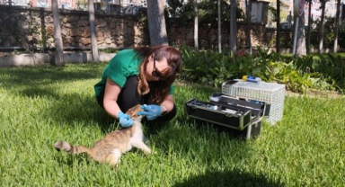 Can dostlara özenli bakım