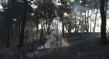 Çanakkale'de orman yangını kontrol altında