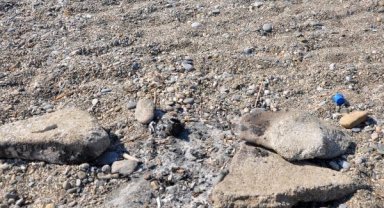 Caretta caretta yuvası üzerinde mangal yaktılar