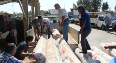 Çiftçilere sera naylonu yardımı
