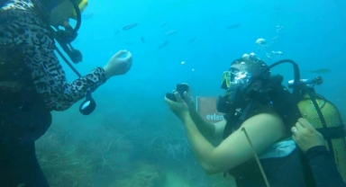 Deniz altında evlilik teklifi