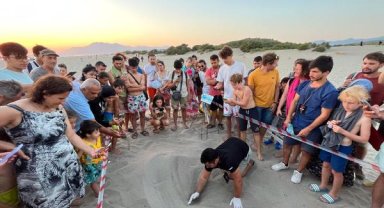 Deniz kaplumbağası yuva sayısında rekor