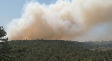 Denizli'de orman yangını