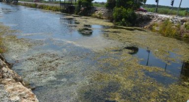 Dere yakınında oturanlar çözüm istiyor 