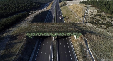 Ekolojik köprü çalışmaları devam ediyor
