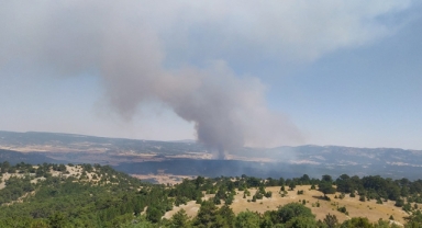 Eskişehir'de orman yangını