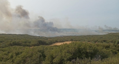 Gelibolu Yarımadası'nda yeni bir yangın çıktı